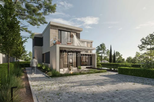 House in Budva, Budva Municipality