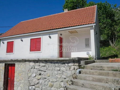 House in Podgorica, Podgorica Capital City