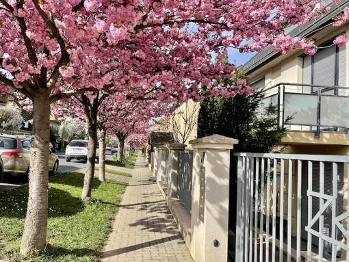 Apartment in Heviz, Western Transdanubia