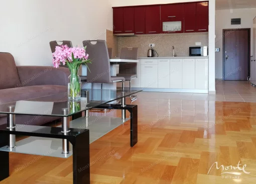 Studio apartment in Becici, Budva Municipality