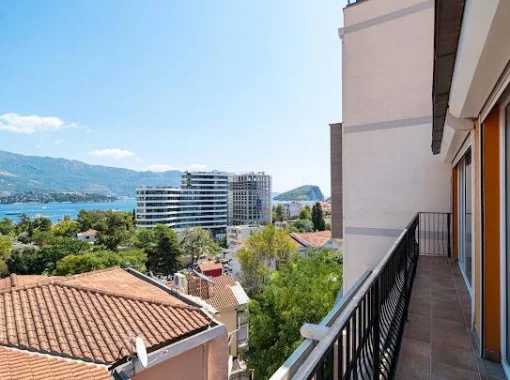 Apartment in Budva, Budva Municipality