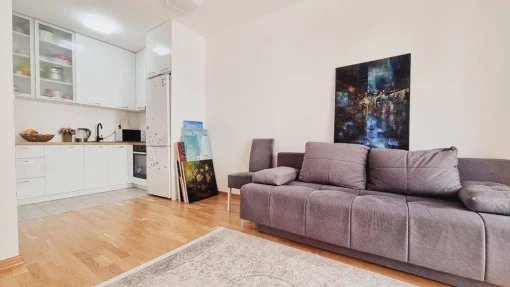 Apartment in Budva, Budva Municipality