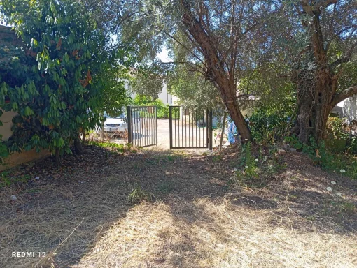 Large plot of land 200 m from the sea, Diamante, Italy