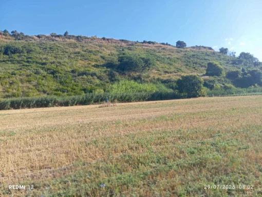 Large plot of land for agricultural use for sale, Scalea, Italy