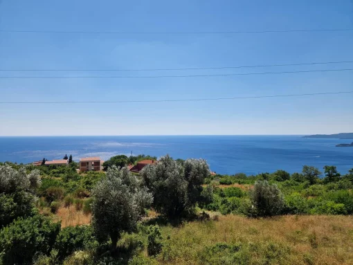 Apartment in Blizikuce, Budva Municipality