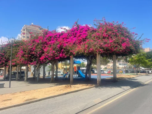 Apartment in Torrevieja, Valencian Community