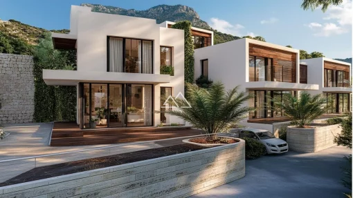 House in Herceg Novi Municipality