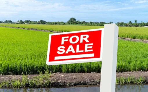 Land plots in Kemer, Turkey