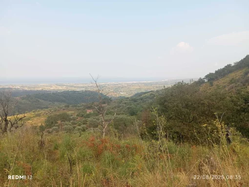 Large plot of land in a mountainous area, 10 km from the sea, Scalea, Italy
