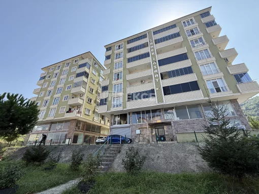 Apartment in Trabzon Province, Black Sea Region