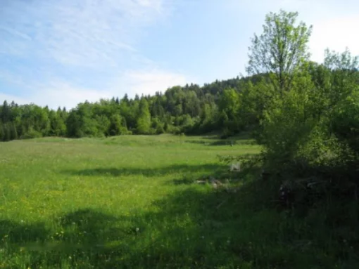 Manor house, Bech farm., Venice, Italy
