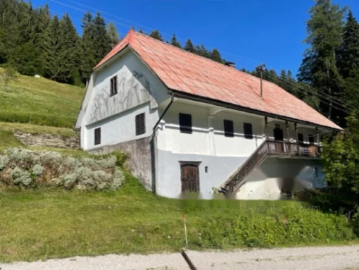 House in Celje