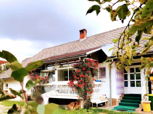 House in Upper Carniola Statistical Region