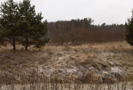 We sell the land from DOMINANTE PARK!, Latvia