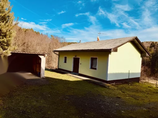 Manor house, Kovachevtsy farm, Slovenia