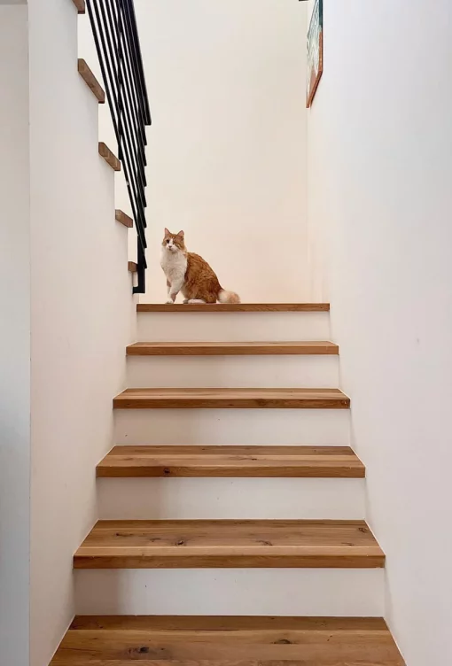 House in Josice, Herceg Novi Municipality