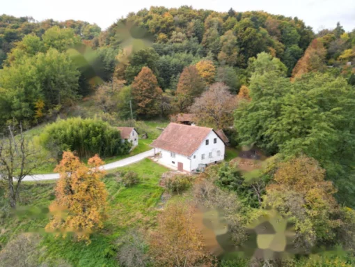 Estate of Kmetiyanovo Slatinskaya Valley, Slovenia