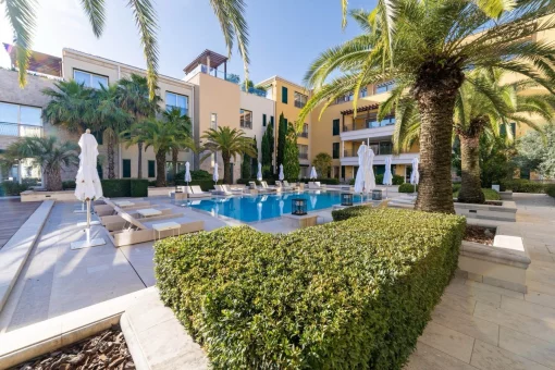 Apartment in Herceg Novi, Herceg Novi Municipality