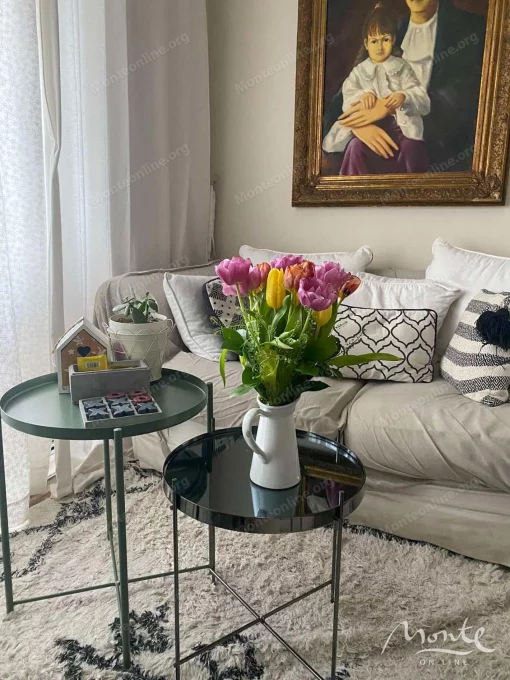 Apartment in Podgorica, Podgorica Capital City