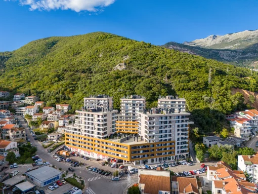 Commercial property in Stari grad, Budva Municipality