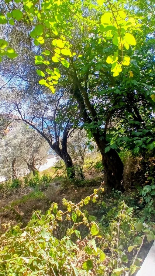 House in Gornji Stoj, Ulcinj Municipality