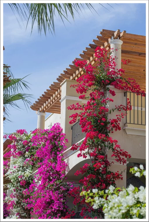 Penthouse in Sahl Hasheesh, Hurghada