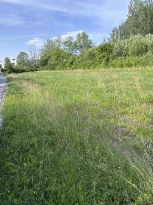 A plot built up BY ANYONE. HIV., Ljubljana, Slovenia