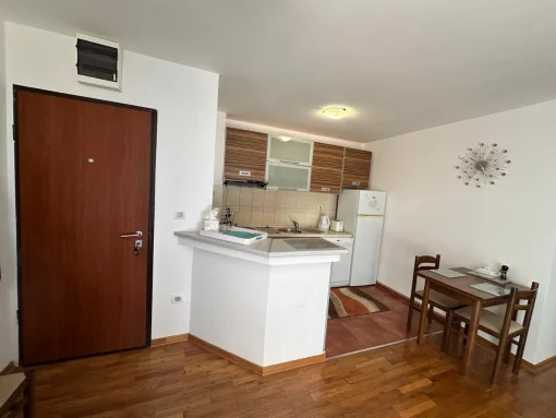 Apartment in Budva, Budva Municipality