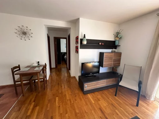 Apartment in Budva, Budva Municipality