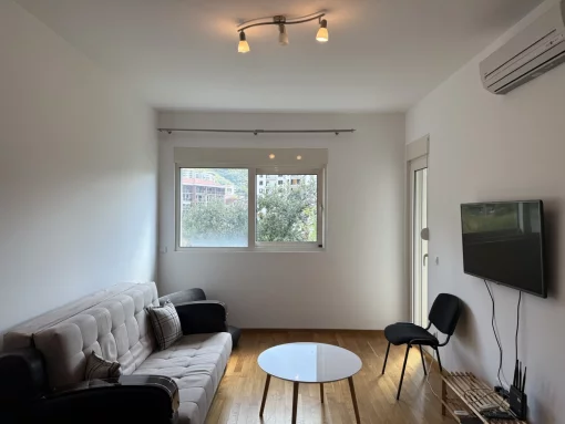 Apartment in Becici, Budva Municipality