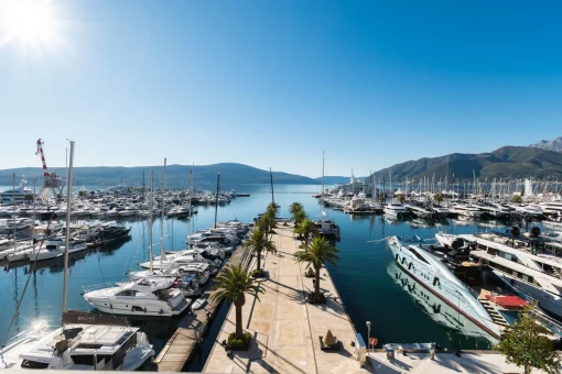 Commercial property in Tivat, Tivat Municipality