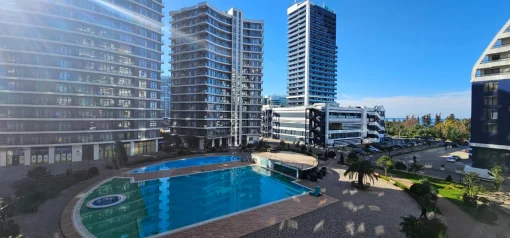 Studio apartment in Georgia