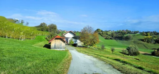 Farmstead "Peasant village", Slovenia