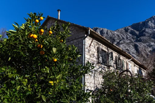 Apartment in Dobrota, Kotor Municipality
