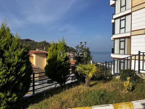 Apartment in Trabzon Province, Black Sea Region