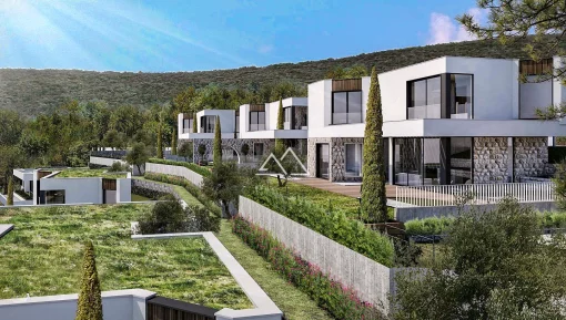 House in Herceg Novi Municipality