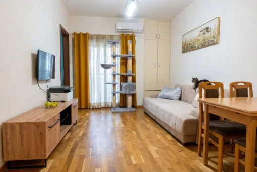 Apartment in Budva, Budva Municipality