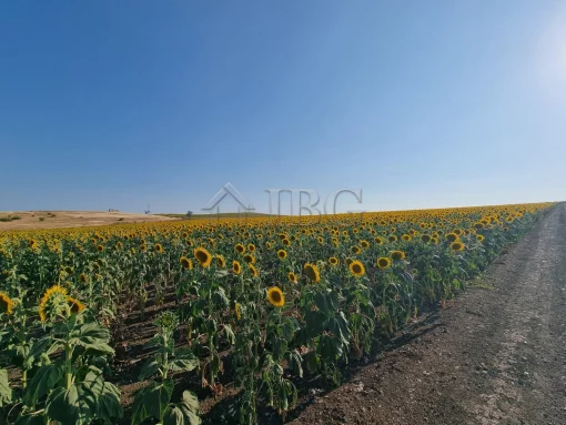 Large Building Plot for Sale in Tunkovo, Burgas Region, Bulg, Bulgaria