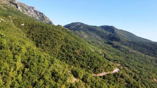 For Sale – Urbanaized Land 26, 417 m², Čavori, Kotor, Montenegro