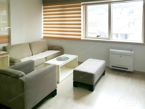 Apartment in Budva, Budva Municipality