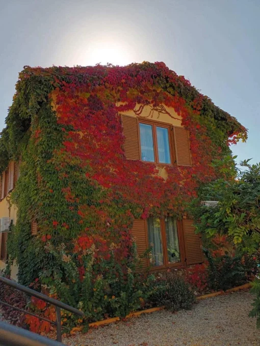 House in Kosharitsa, Burgas Region