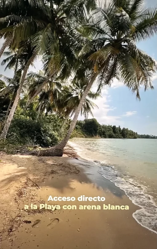 Unique plots of land on the ocean front, Las Terrenas, Dominican Republic