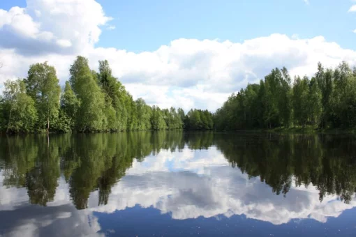 River view 3120 m2 plot, Tohmajarvi, Finland