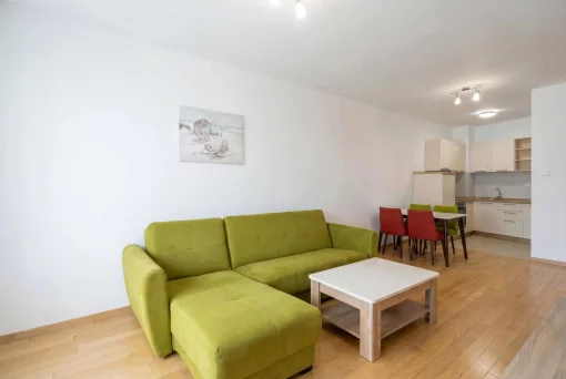 Apartment in Budva, Budva Municipality