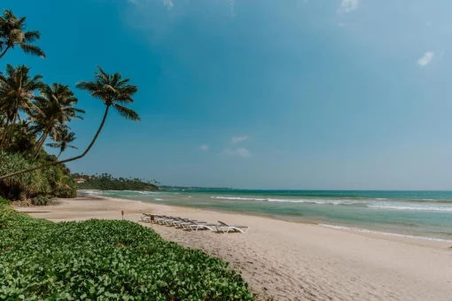 Beachfront boutique hotel in Southern Sri Lanka