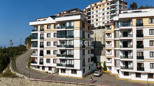Apartment in Trabzon Province, Black Sea Region