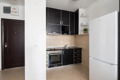 Apartment in Budva, Budva Municipality
