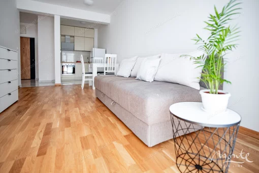 Apartment in Budva, Budva Municipality