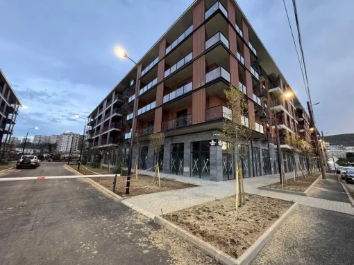 Apartment in Tbilisi