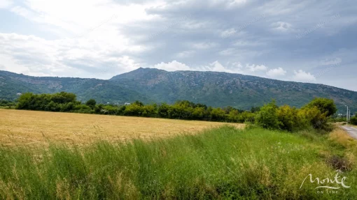 Large plot of land in Bury, Podgorica, Montenegro